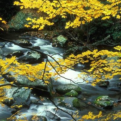 A股三大指数高开 有色金属走强